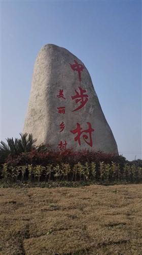 图像 图像