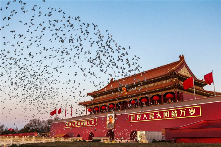 图像 图像