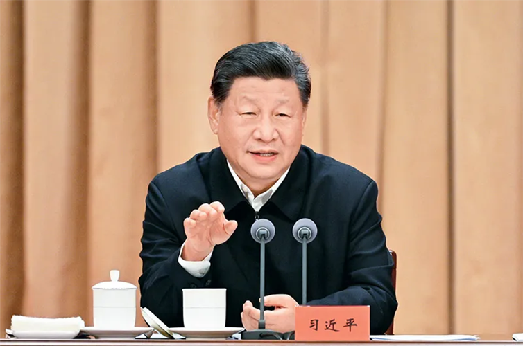图像 图像