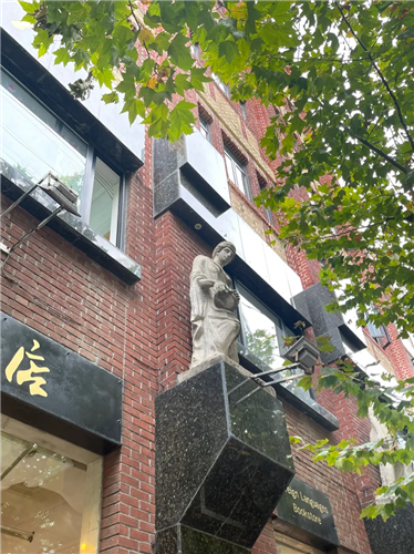 图像 图像