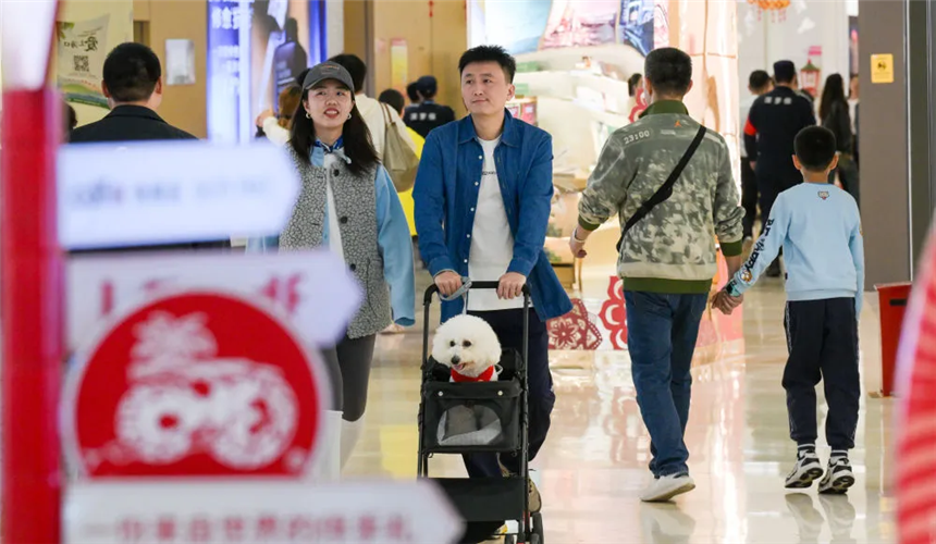 ͼ��