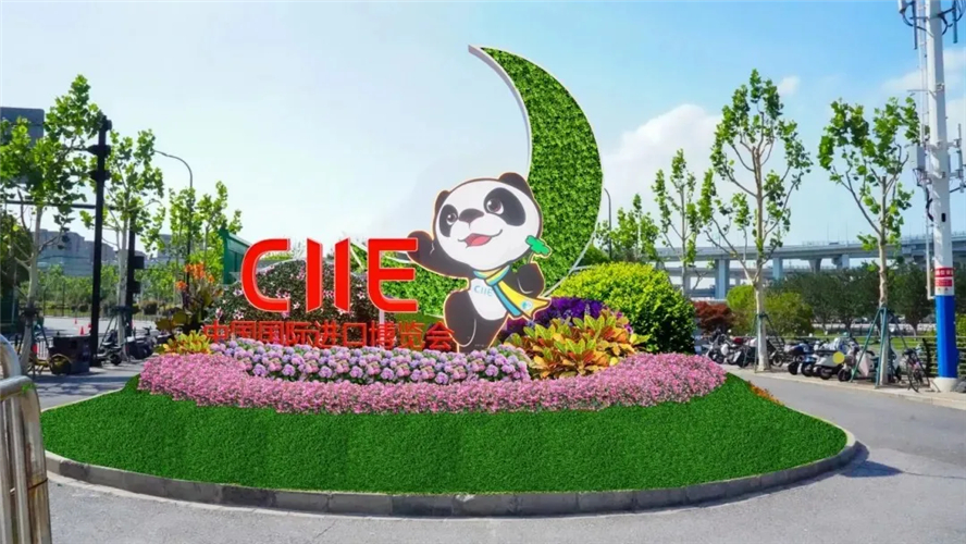 图像 图像