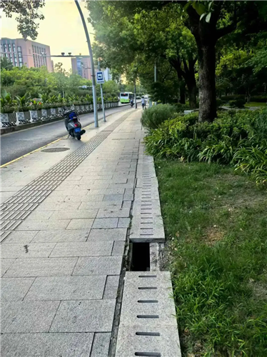 图像 图像