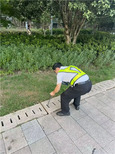 图像 图像