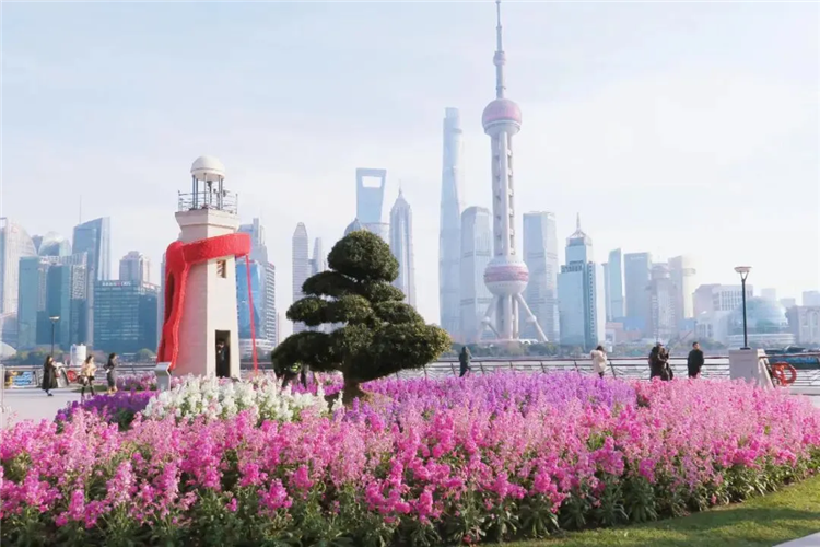 图像 图像