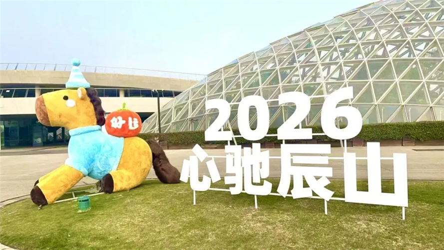 图像 图像