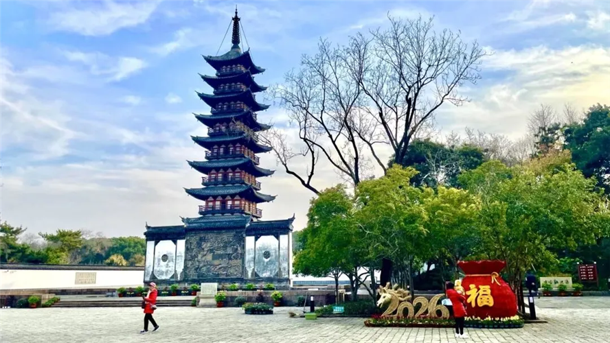 图像 图像