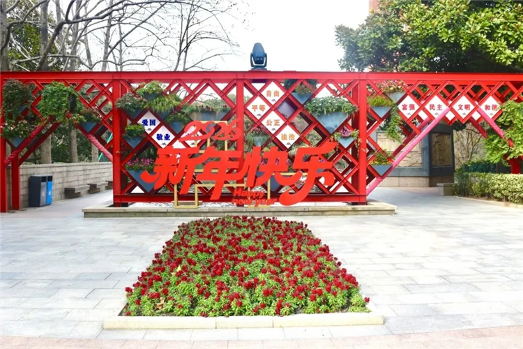 图像 图像
