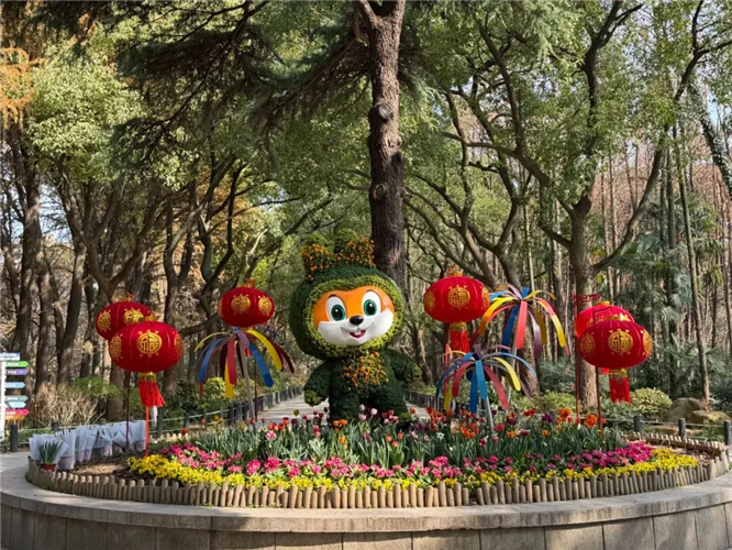 图像 图像