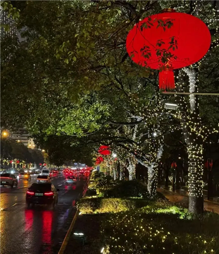 图像 图像
