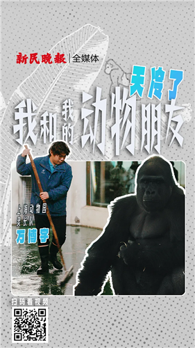 图像 图像
