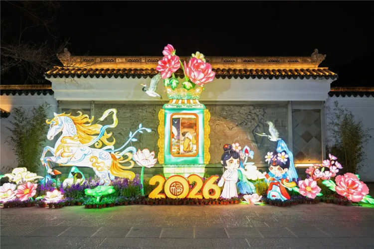 图像 图像