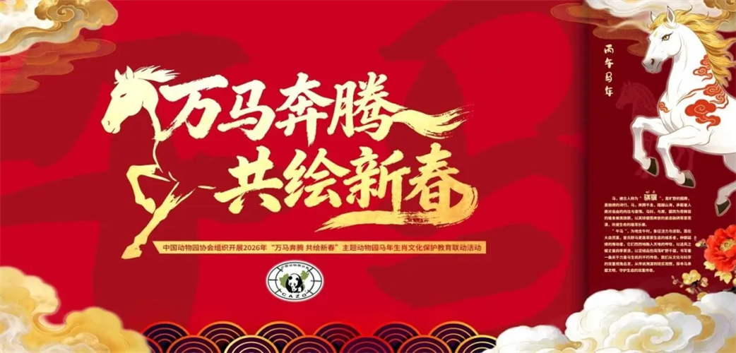 图像 图像