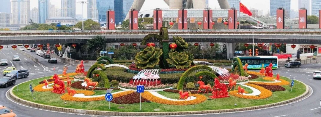 图像 图像
