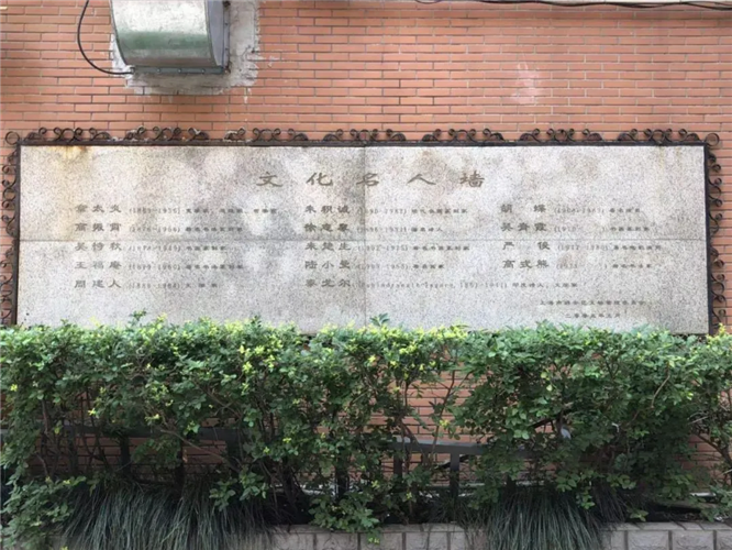 图像 图像