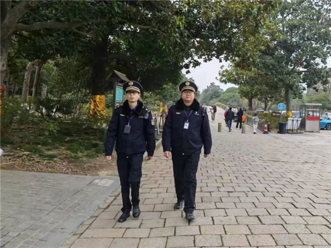 图像 图像