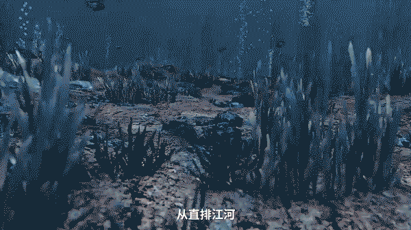 图像 图像