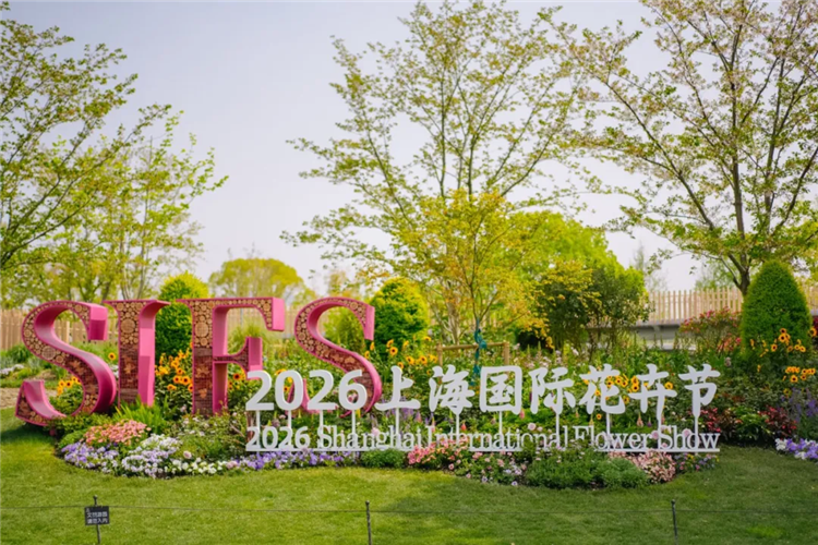 图像 图像