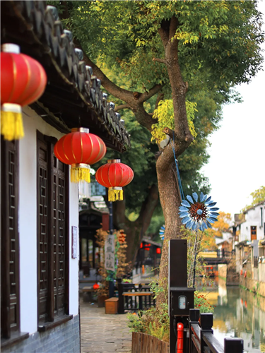 图像 图像