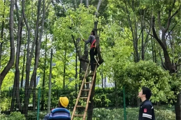 图像 图像