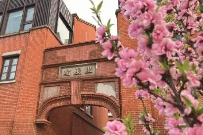图像 图像