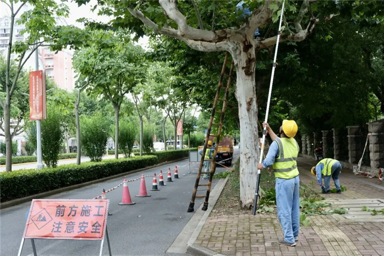 图像 图像
